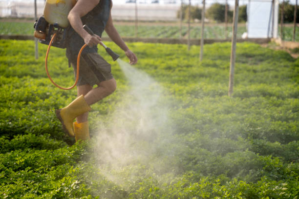 Best Pest Control for Homes  in Bridgeville, DE